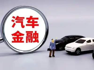 曾都押车贷款不是本人可以么?